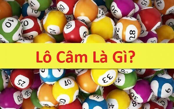 Đầu Lô Câm - Cách Nhận Biết Và Mẹo Chơi Hiệu Quả Nhất