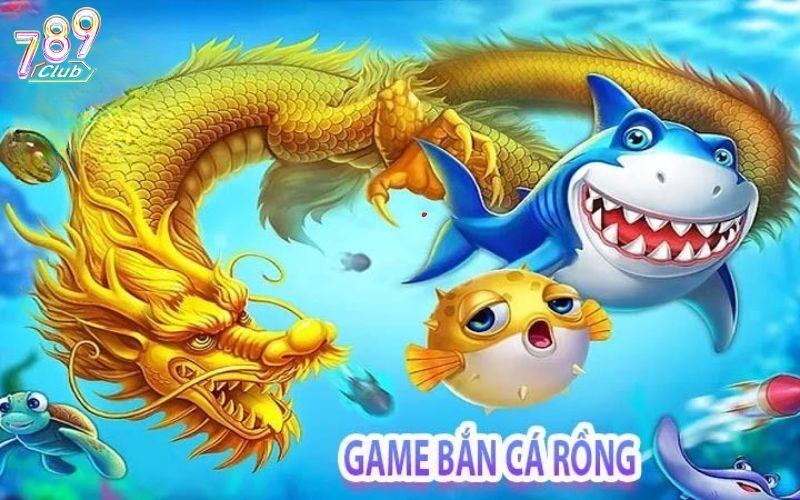 Luật săn cá rồng dễ hiểu